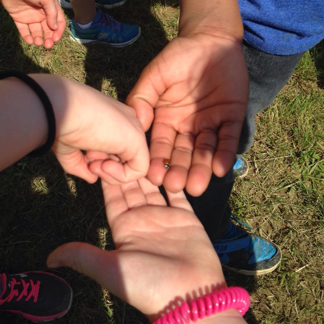 HES-visit-kids-hands-and-Ladybug