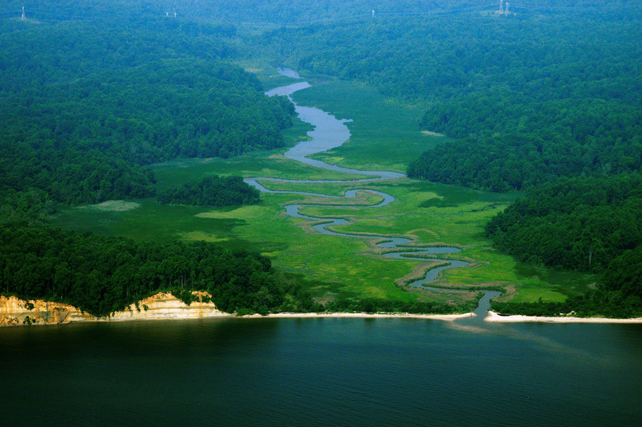 aerial view of Parkers Creek
