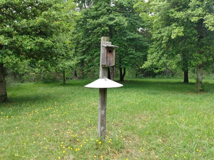One of ACLT's Bluebird nesting boxes at the Warrior's Rest Sanctuary