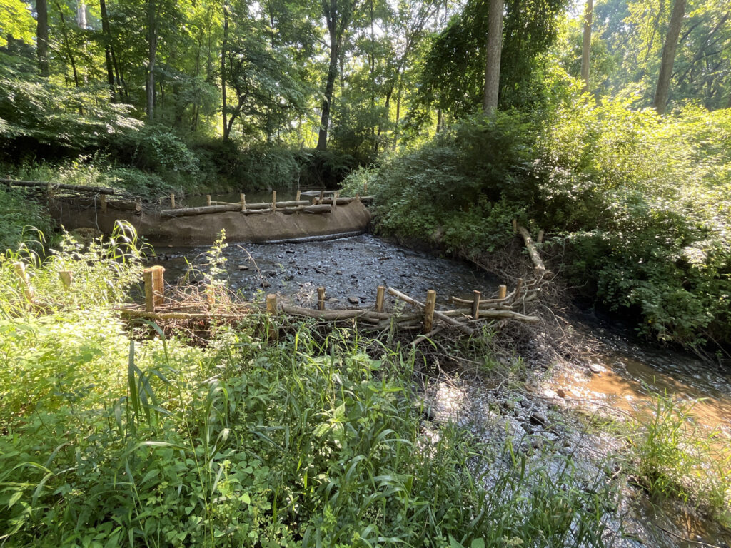 Two beaver dam analogs at the Carroll Branch restoration site in July. BDAs can be built close together, like natural beaver dams sometimes are, to increase their resilience during storms (photo courtesy of Ecotone).